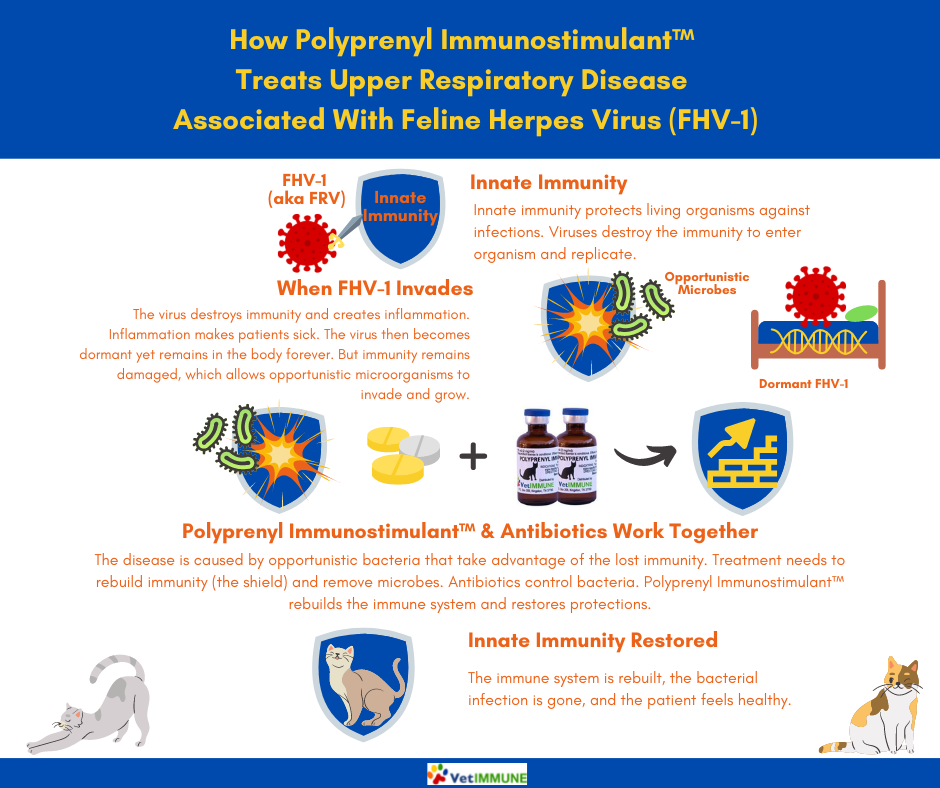 Polyprenyl immunostimulant clearance for cats